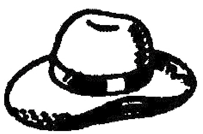 Zoram People's Movement election symbol